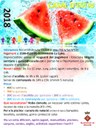 CASAL D'ESTIU 2018