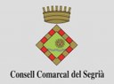 Pla Estratègic Consell Comarcal del Segrià